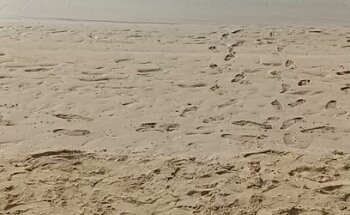 Mamzar Beach workout area