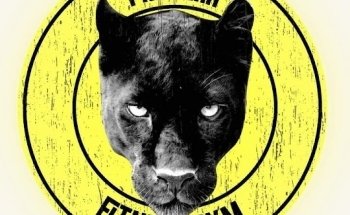Pantera Fitness Gym