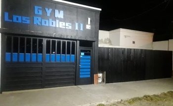 Gimnasio Los Robles II