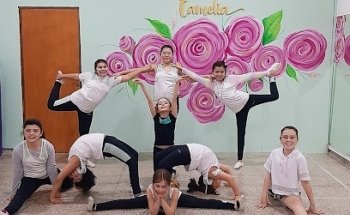 Camelia Estudio