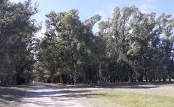 Circuito saludable