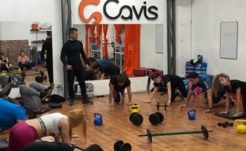 Cavis