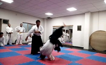 Mendoza Ki Aikido