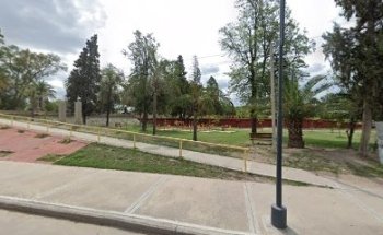 Sector de Máquinas de Ejercicio