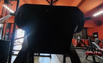Gimnasio