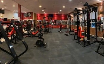 Fist Gym