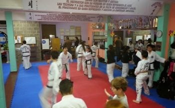 TAEKWONDO AITFA SEDE CENTRAL