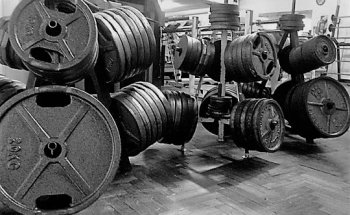 El Bosque Gimnasio