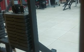 gym educación fisica CHOK-MUSCULOS