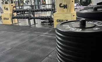 ARCO SPORT FITNESS