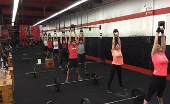Rex Crosstraining