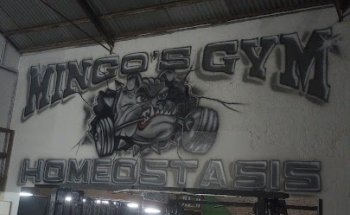 Mingo's Gym & Homeostasis