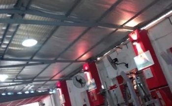 Fox Gym