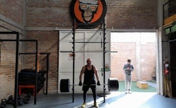 Scimia Gimnasio