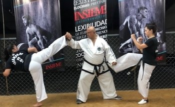 Insieme Entrenamiento