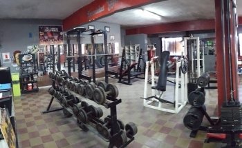 Leonidas Gym