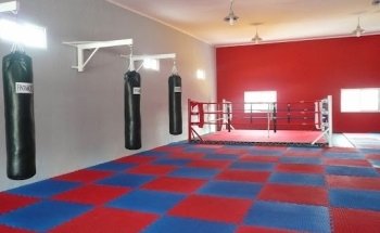 Gimnasio Willie Pep