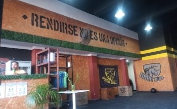 DARK BULL Training Center