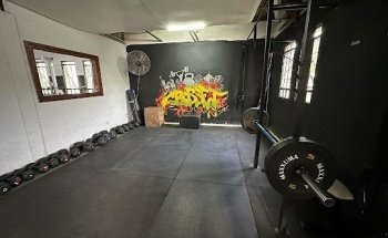 Terra Entrenamiento