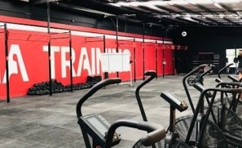 Arena Training