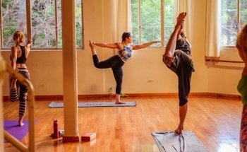 Malva Yoga