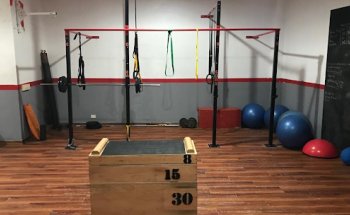 Snake Gym