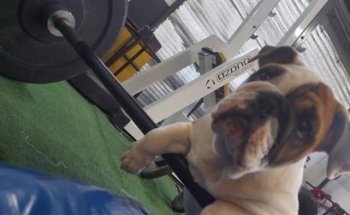 Xcross Box Fitness