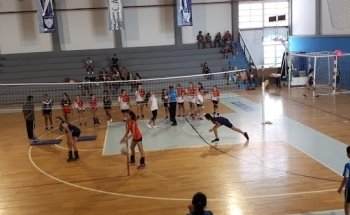 Clorinda Club