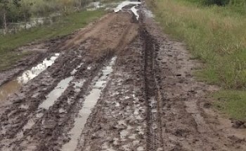 Camino al cementerio de Serodino