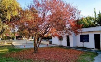 Camping la Mutua