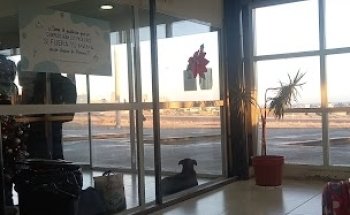 Terminal de caleta