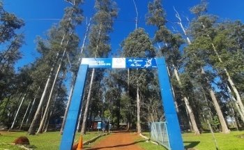 Complejo Recreativo IPS