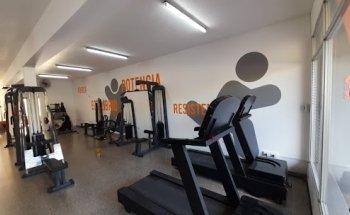 AMERICAN GYM