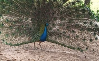 Complejo Ecológico Sáenz Peña