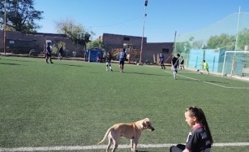 Polideportivo Rodeo Del Medio