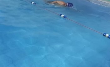 Aqualife. Natación. Kinesiología. Pedigrafia digital. Elementos Ortopedicos.