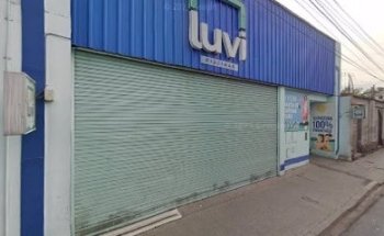 Luvi