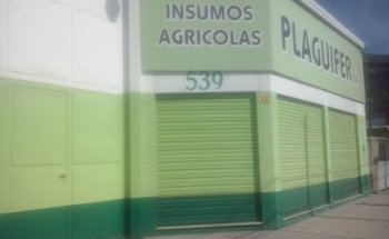 Plaguifer