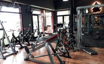 Bulk Gym
