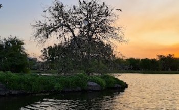 Lago Aventura cableski