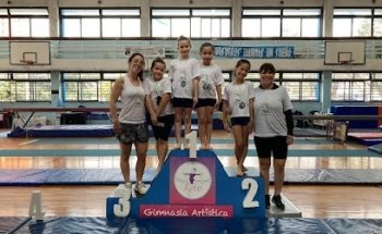 Shapo escuela Gimnastica