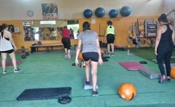 Estilo Fit GYM