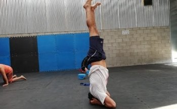 Resurve Nelly Fitness