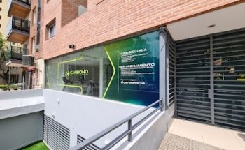 CARBONO