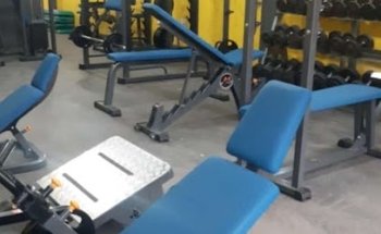 Wonder Gym