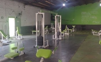 ALFA GYM