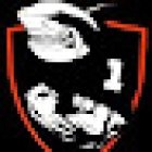 Centro de Fuerza Maxima