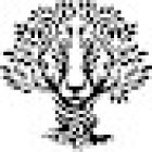 KAIZEN Centro Deportivo Holístico