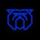 bulldog fitness/ crossfit