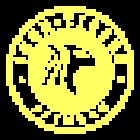 Iron Tigers Fitness Castelar